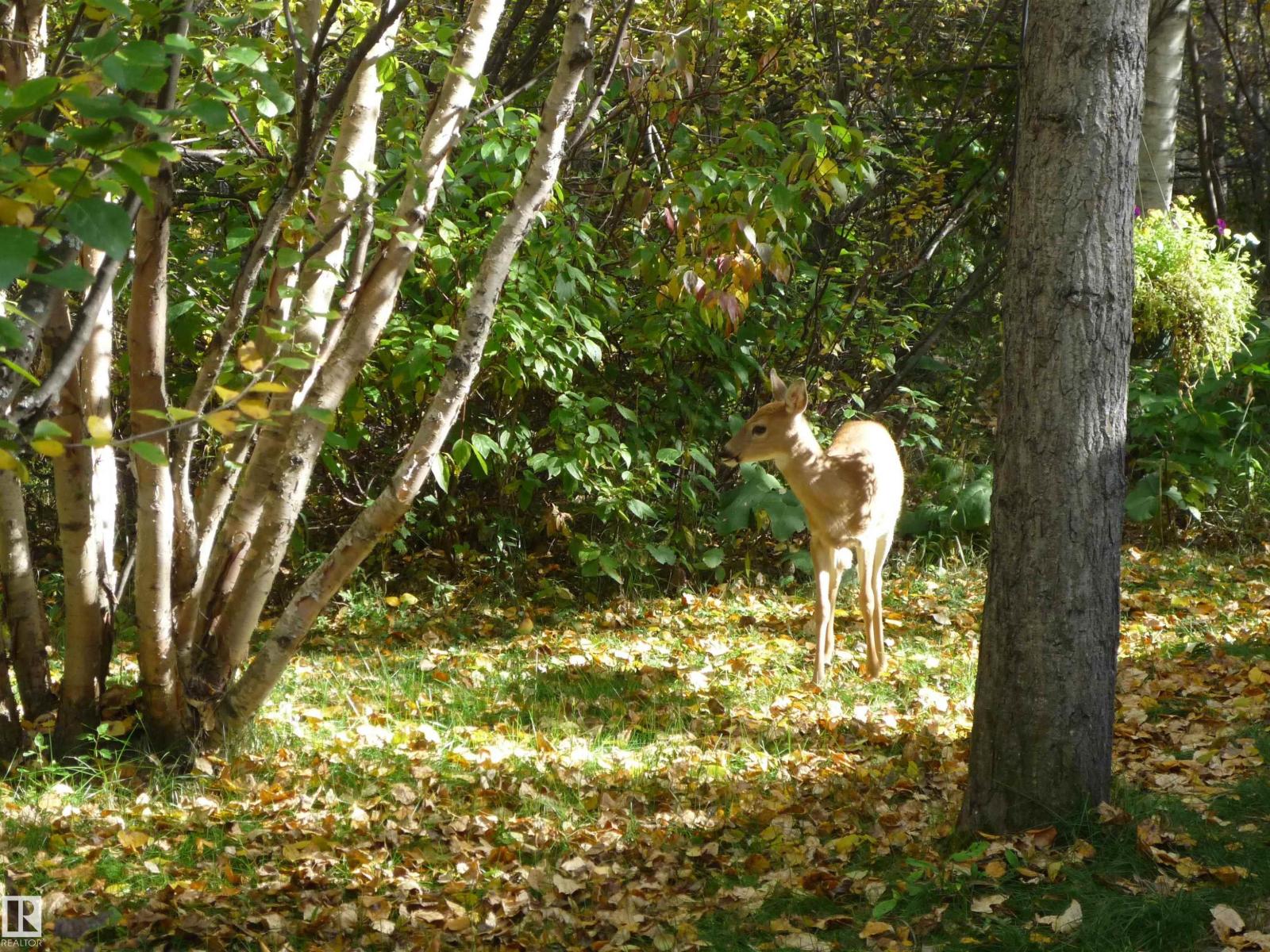 #5 51221 RGE ROAD 265