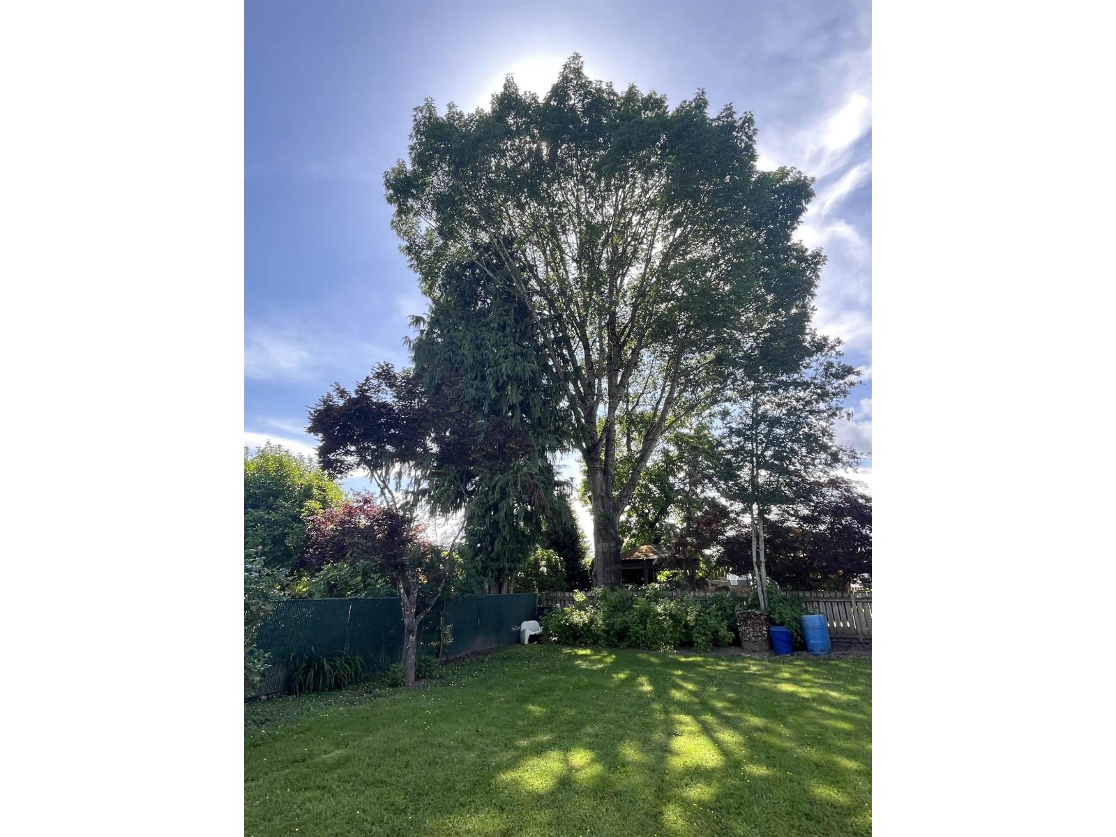 45946 SILVER AVENUE|Sardis East Vedder