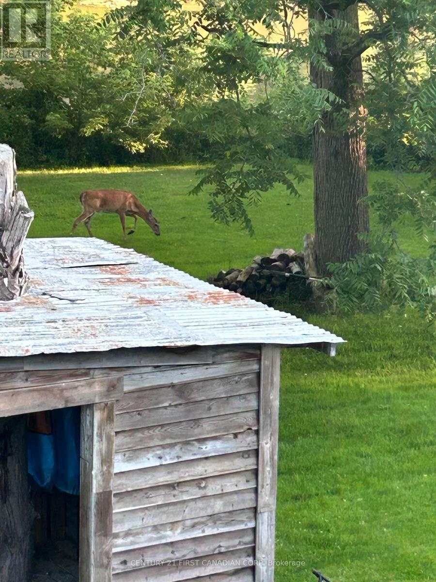 4379 CATHERINE STREET