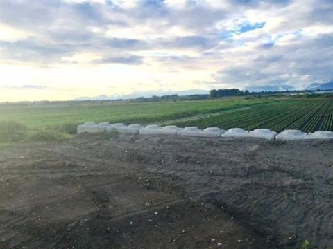 4179 176 STREET Surrey BC V3S0L5