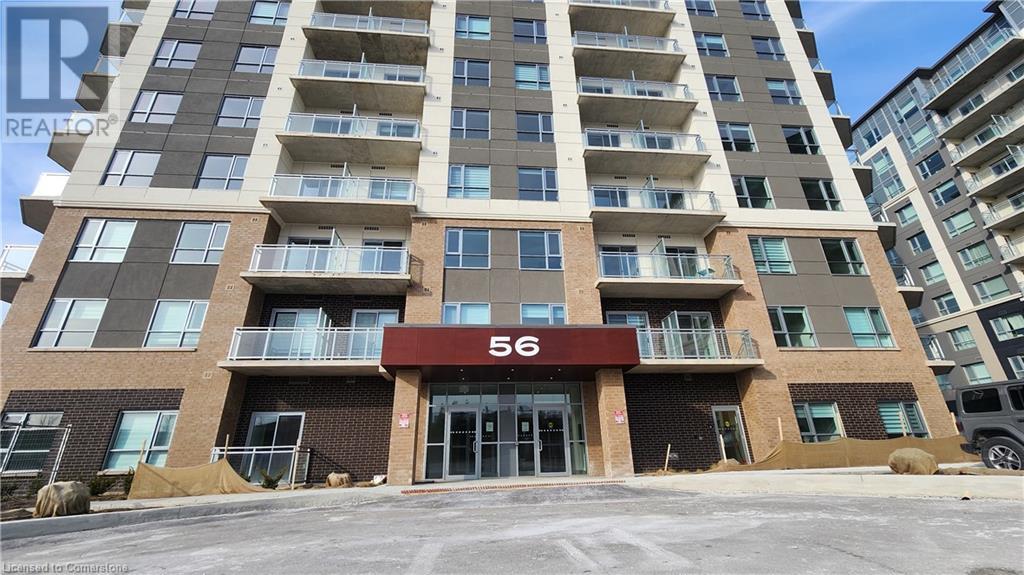 56 LAKESIDE TERRACE Terrace