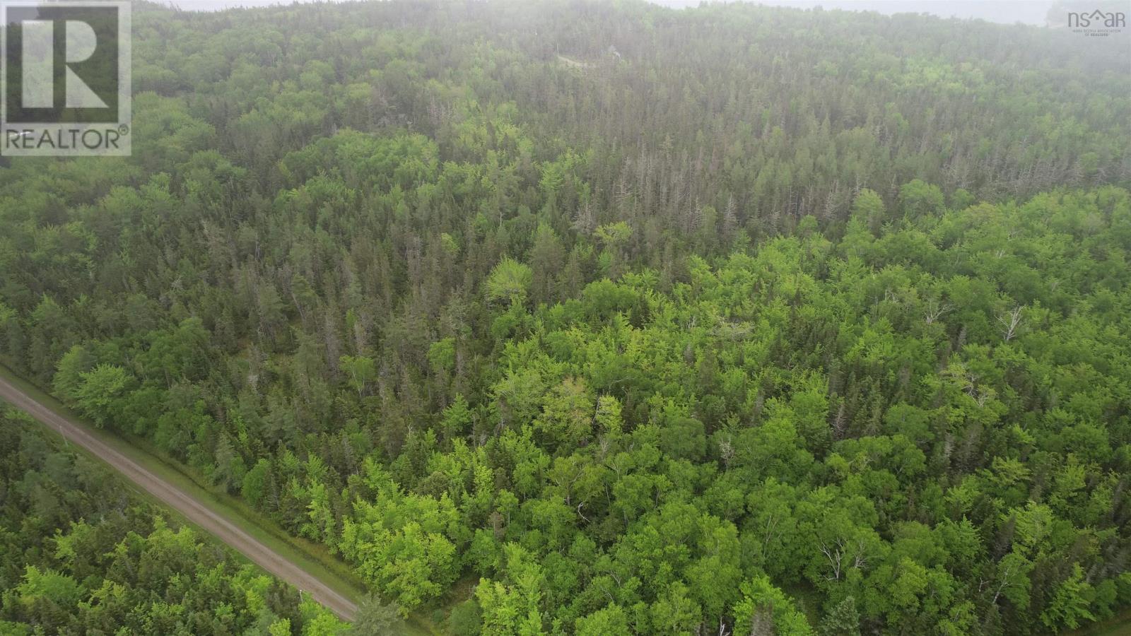 41A Widow Point Loop