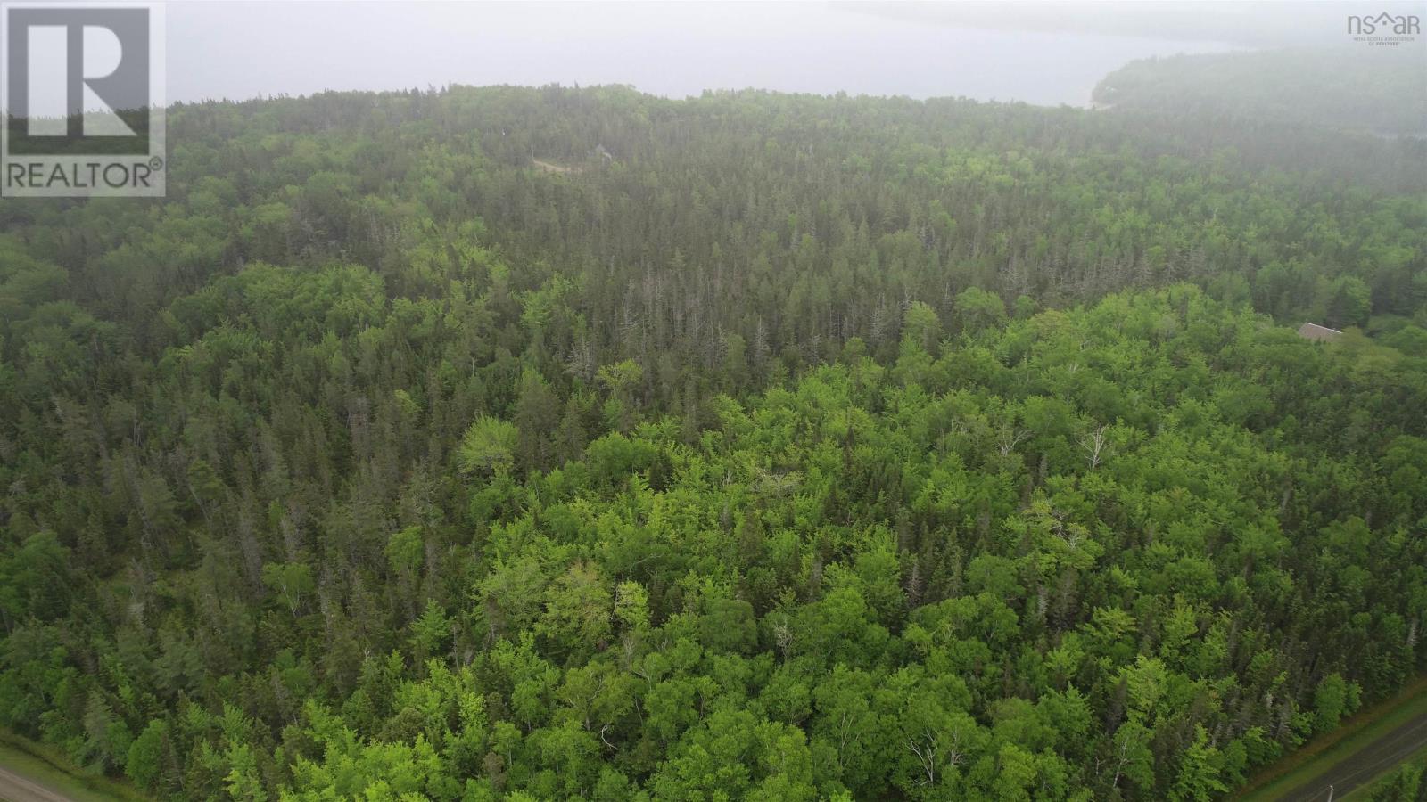 41A Widow Point Loop