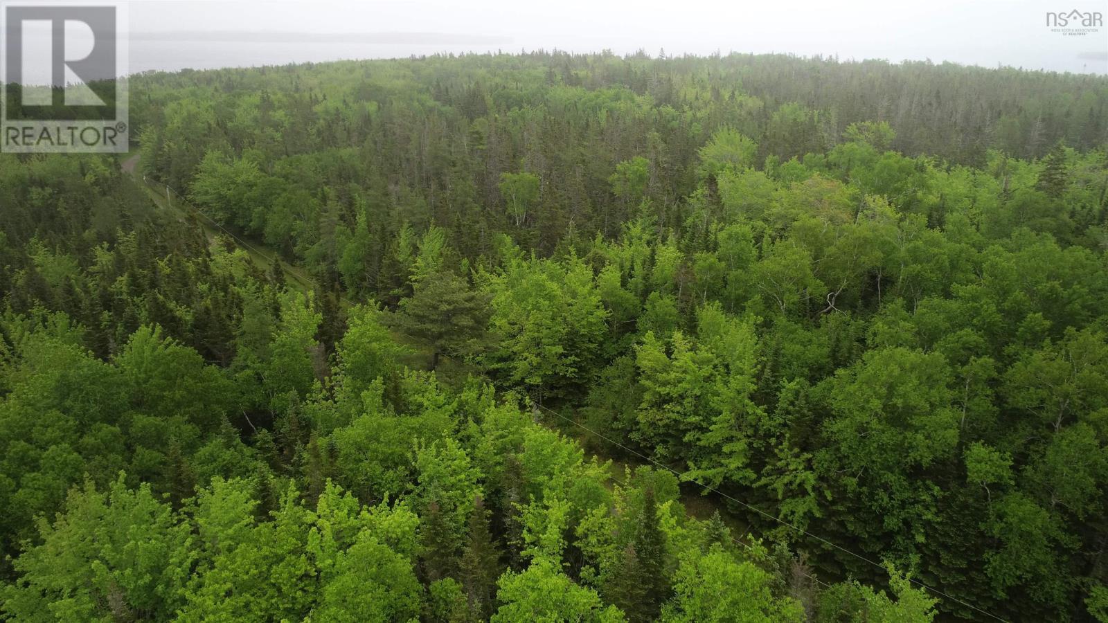 41A Widow Point Loop