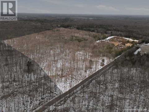 PT LT 34 DENNISON ROAD Tweed (Hungerford (Twp)) ON K0K2L0