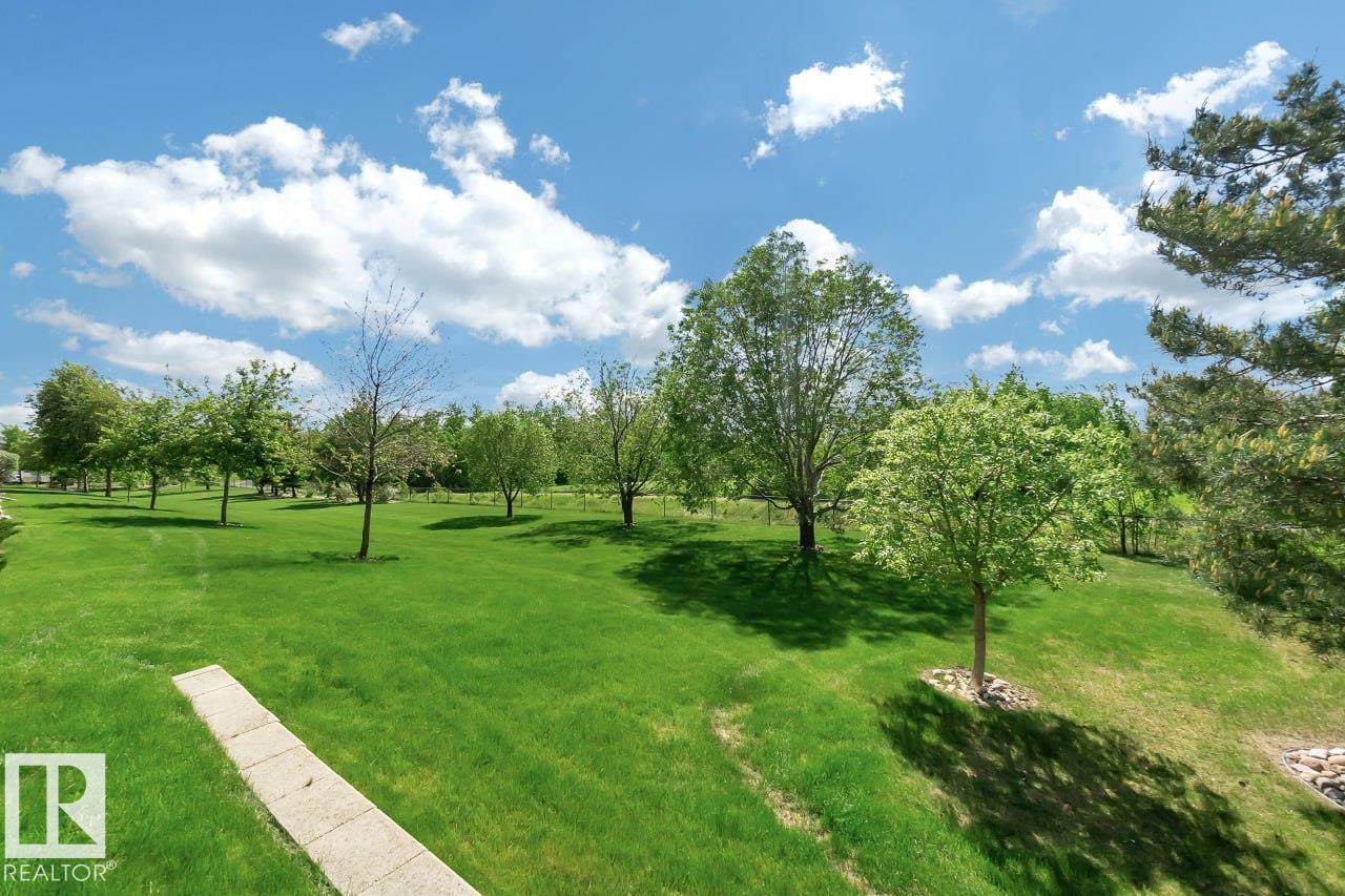 #116 300 PALISADES WY