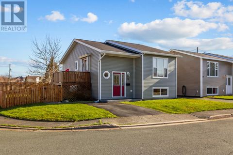 6 Athlone Place St. John's NF A1A4M8