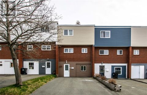 6 Steer Street St. John's NF a1e3w6