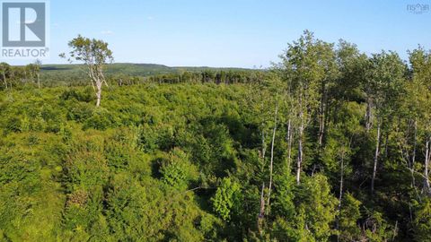 Lot 3 Albany New Road Albany New NS B0T1B0