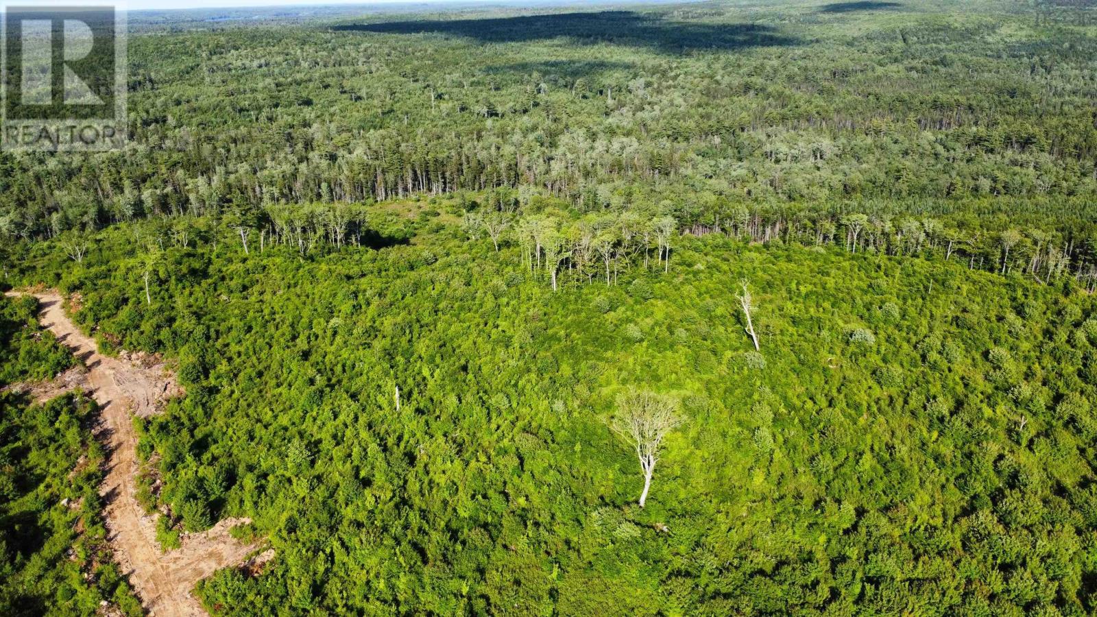 Lot 3 Albany New Road