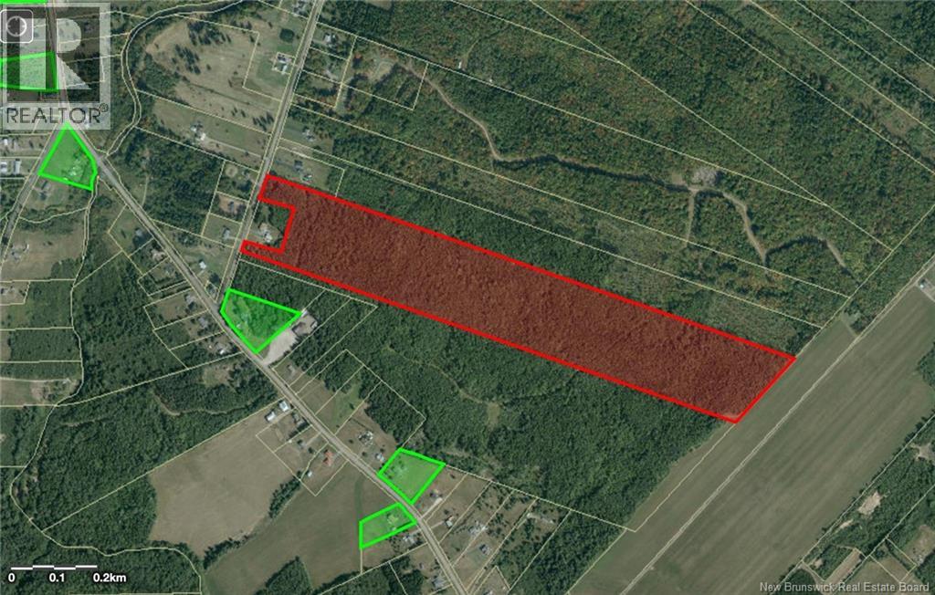 Lot Ouellette Road - Photo 4