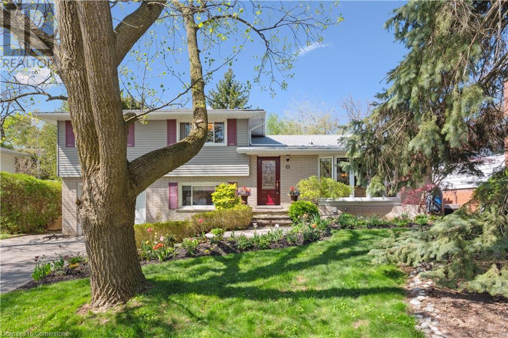 61 LARKSPUR Crescent