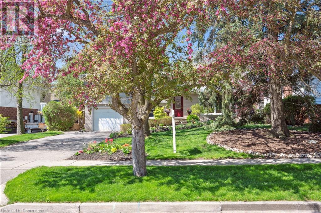 61 LARKSPUR Crescent