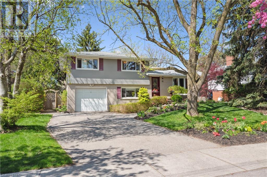 61 LARKSPUR Crescent