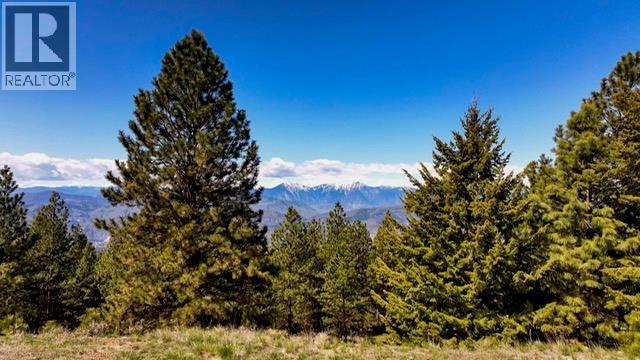 470 Sasquatch Trail Trail
