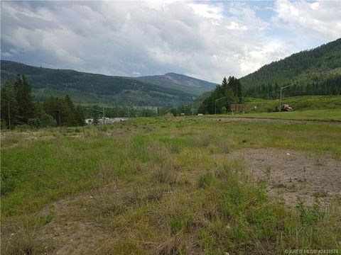 91 ASPEN Drive Sparwood BC V0B1G0