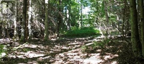 LT 11 CONCESSION 4 EBR Northern Bruce Peninsula ON N0H1W0