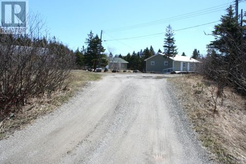 57-61 Duke Street Trout River NF A0K5P0
