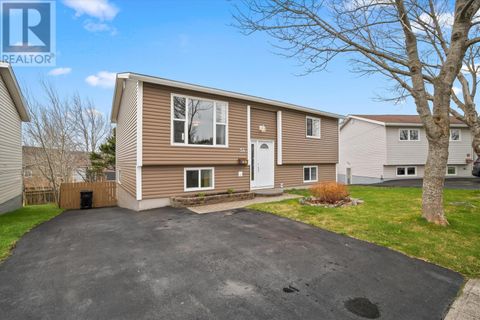 54 Hawker Crescent St.Johns NF A1E3W4