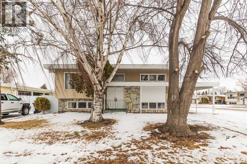 1259 St Catherine Road N