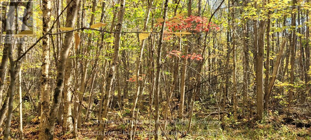 PT/LOT 21 CONCESSION 3 ROAD