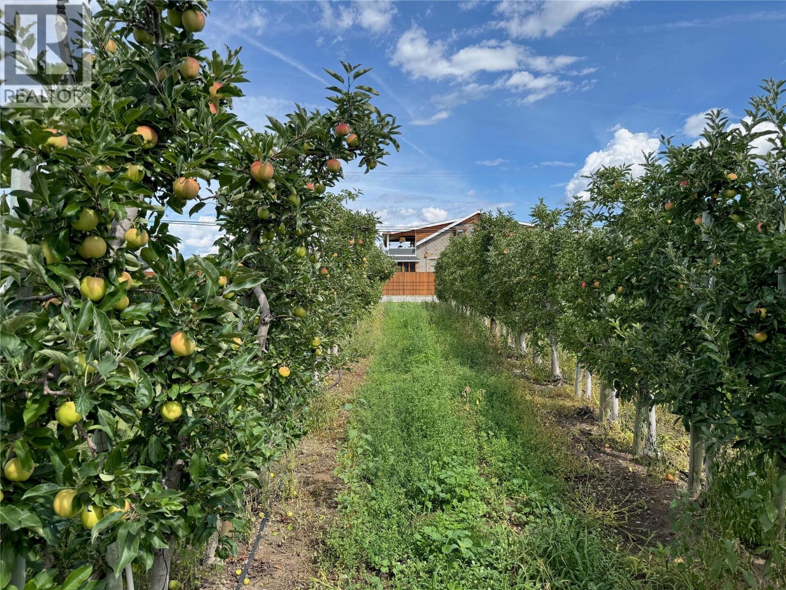 9105 Jones Flat Road