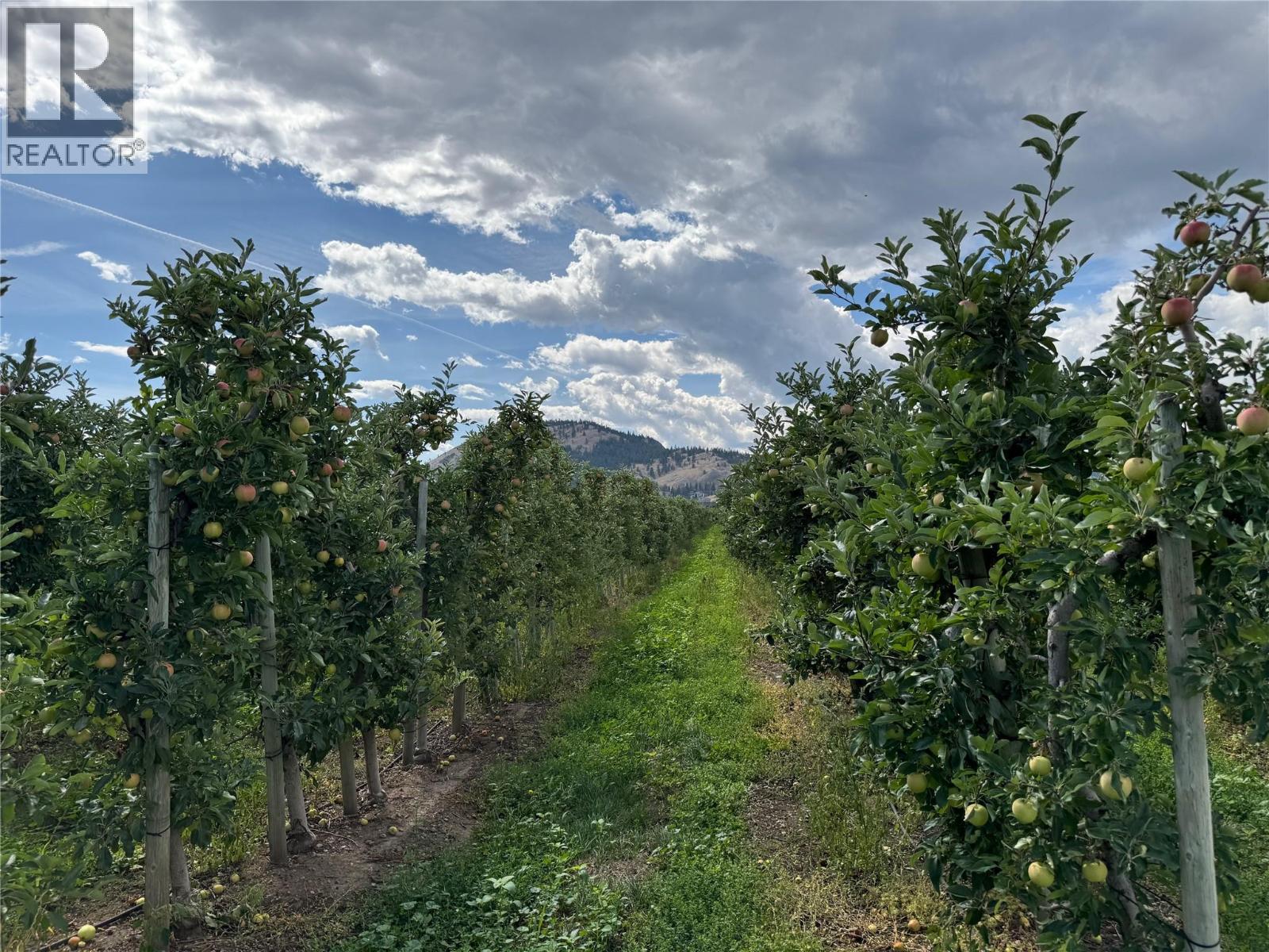 9105 Jones Flat Road