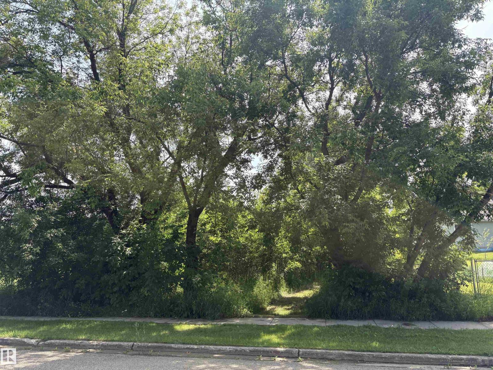 #2 University AV