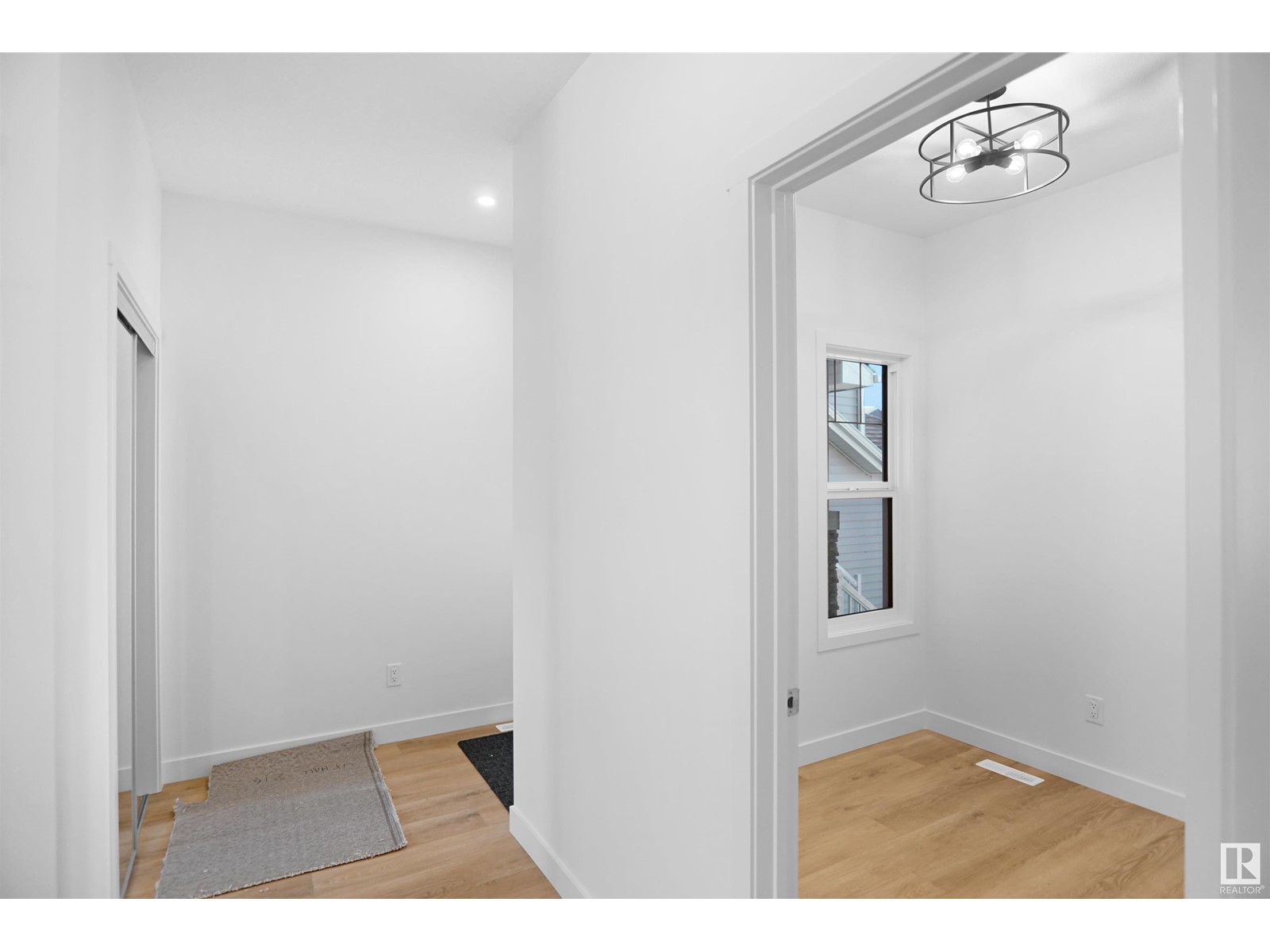 58 Ficus WY