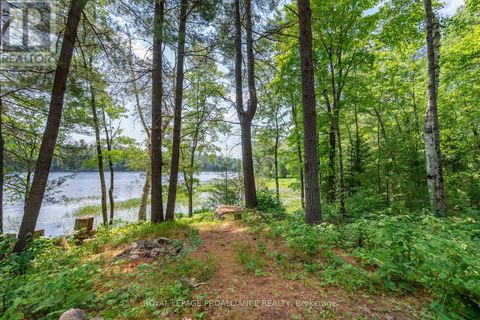 1180 MARSHALL LANE North Frontenac (Frontenac North) ON K0H1K0