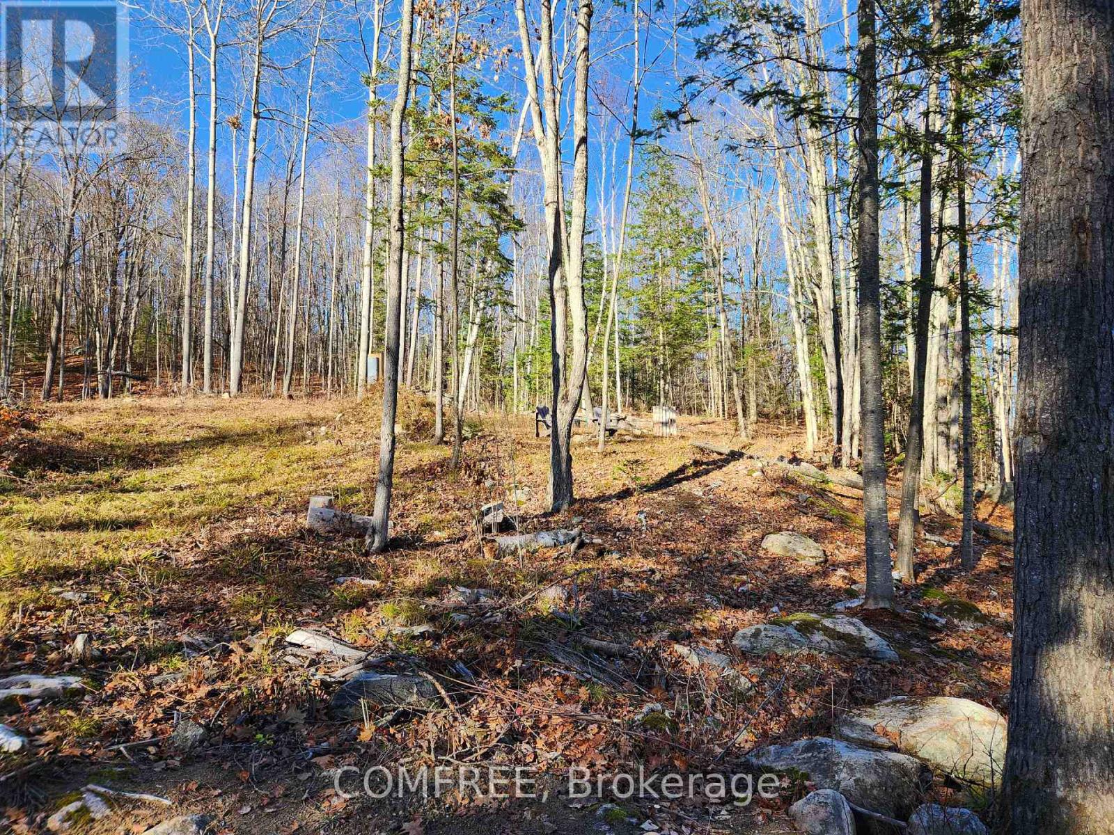790 MITCHELL ROAD