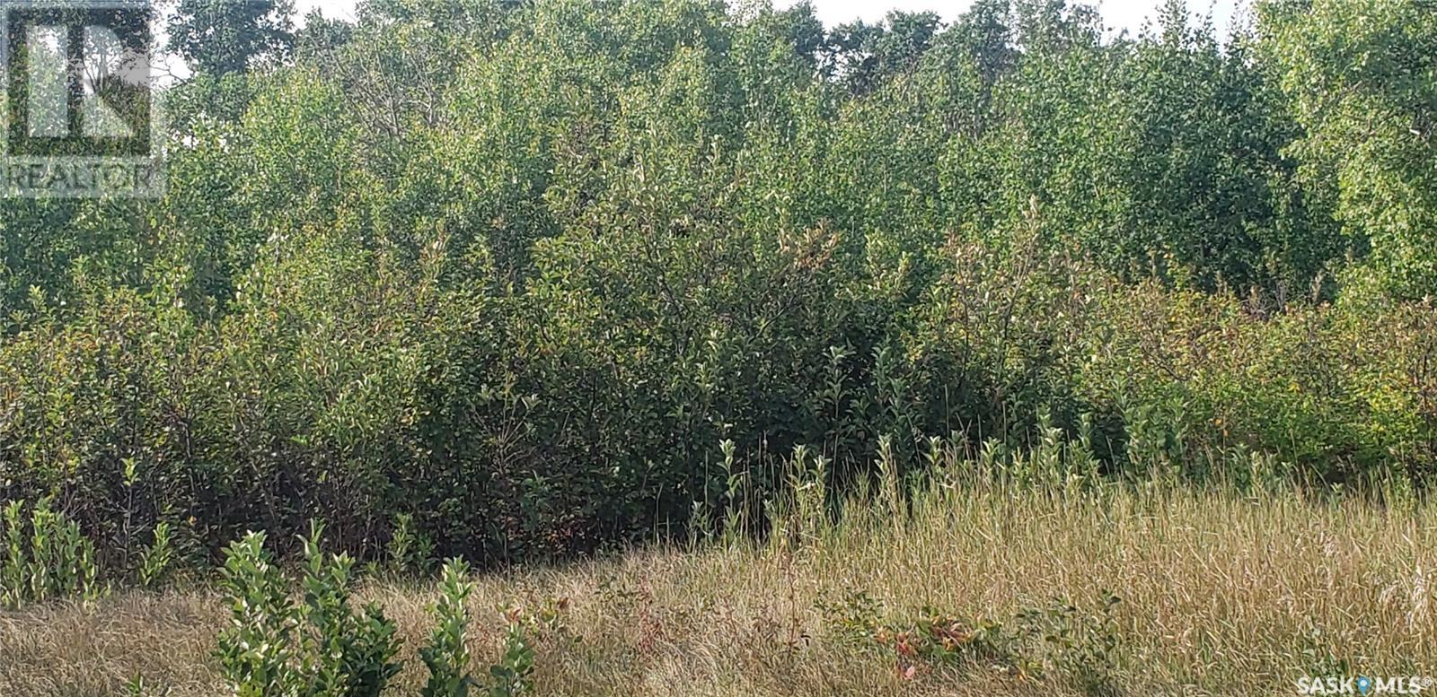 12 WHITETAIL TRAIL