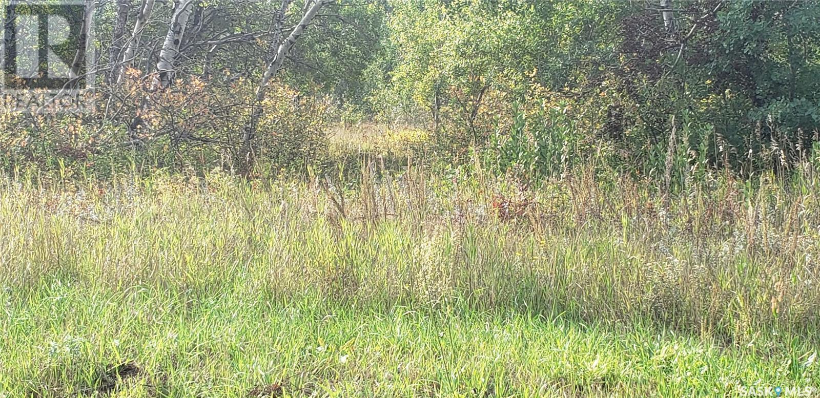 12 WHITETAIL TRAIL