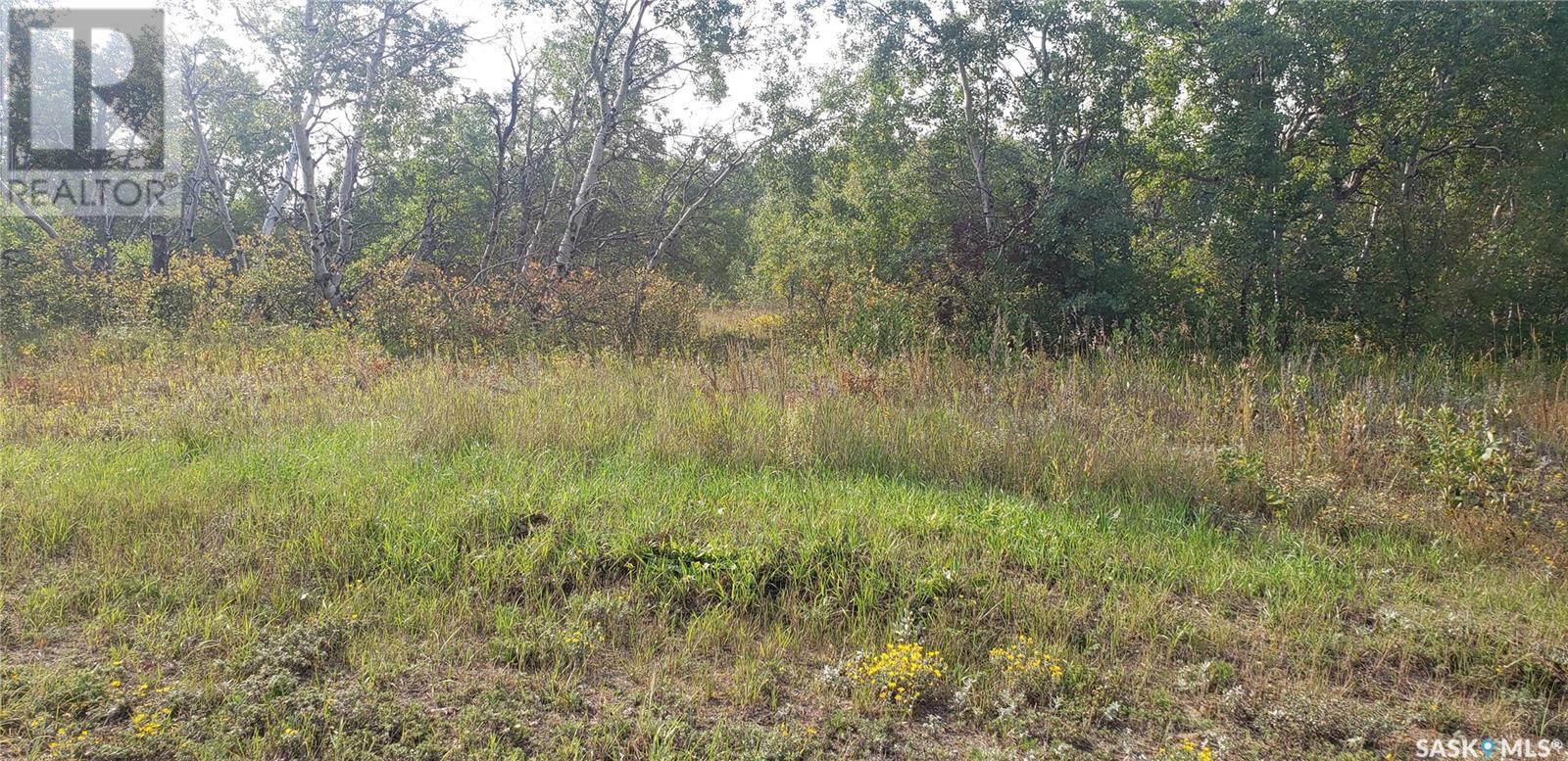 12 WHITETAIL TRAIL