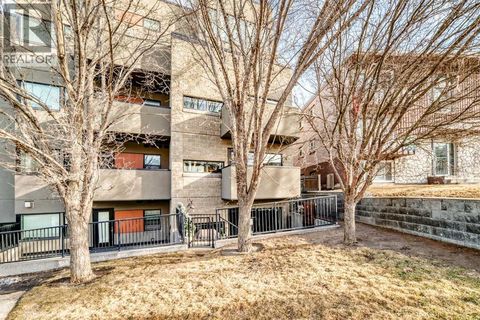 201, 1828 14 Street SW Calgary AB T2T3S9