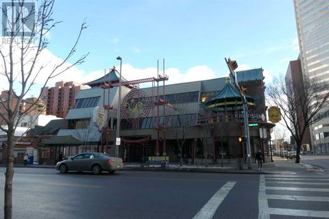 159, 328 Centre Street SE Calgary AB T2G4X6