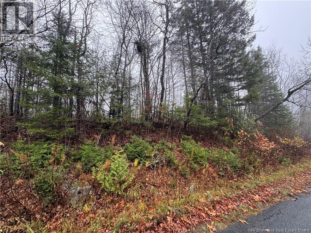 Photo 1 of 8 — 25-02 St. David Ridge Road, Oak Bay, NB E3L4R1
