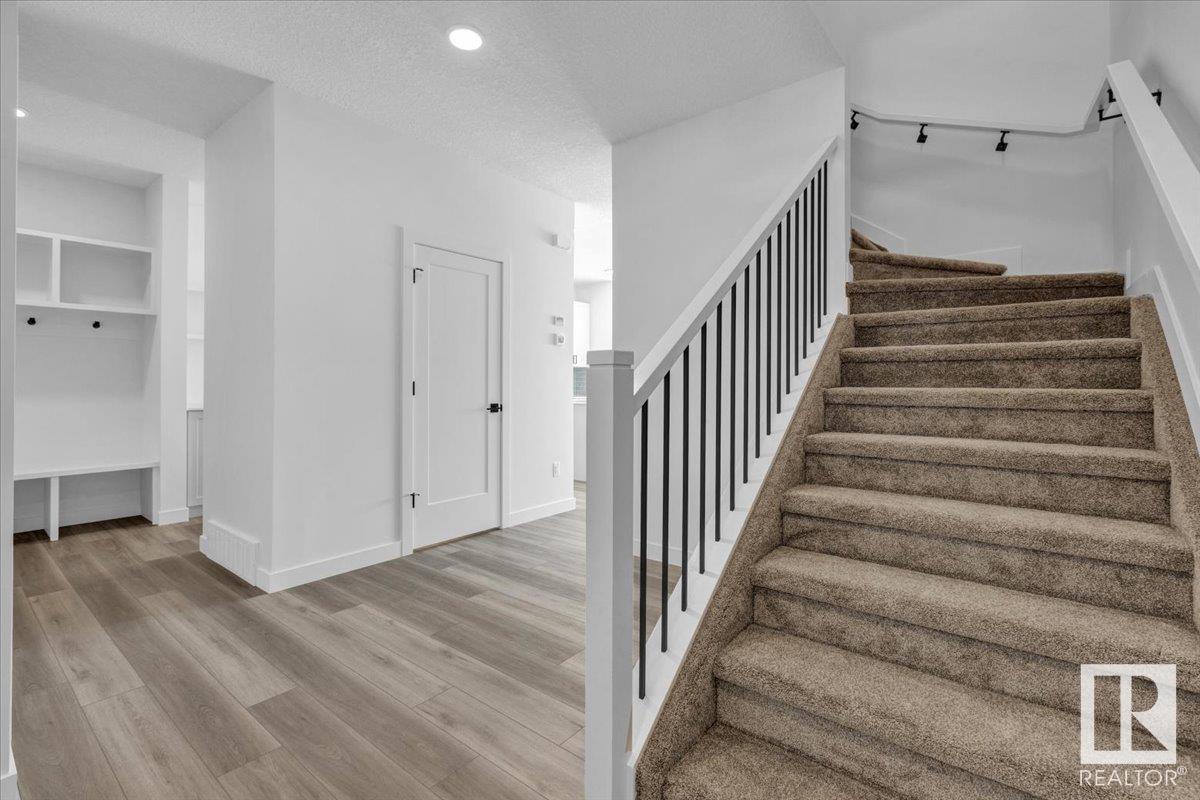 66 Ficus WY