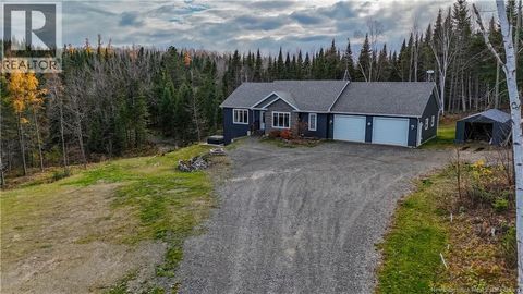 38 Boutot Lane Grand-Sault/Grand Falls NB E3Z0C6