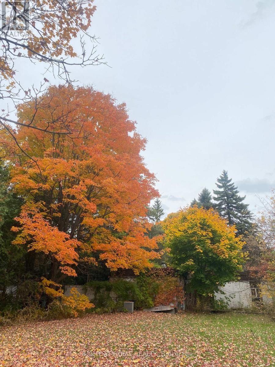 48 THE BRIDLE PATH
