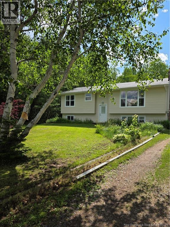40 Michael Avenue