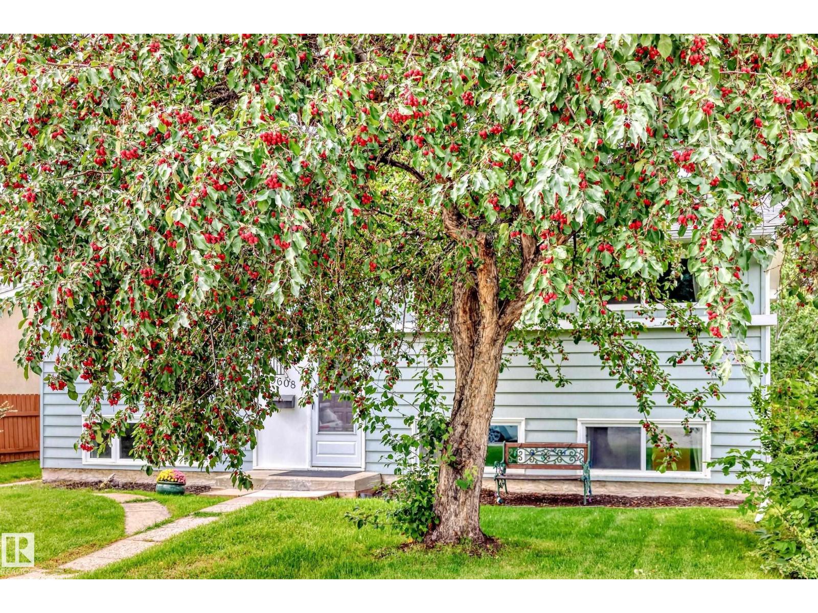 9608 169 ST NW