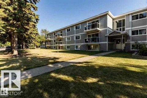 #307 8215 83 AV NW Edmonton AB T6C1A7