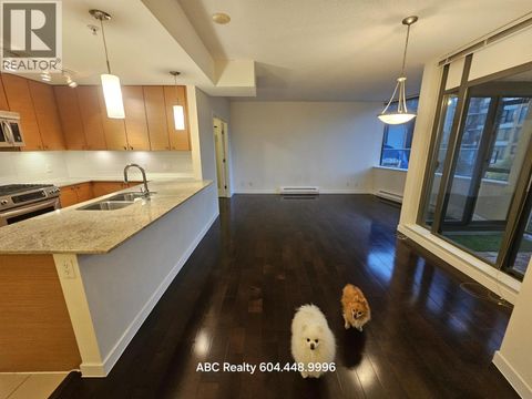 301 7362 ELMBRIDGE WAY Richmond BC V6X0A6