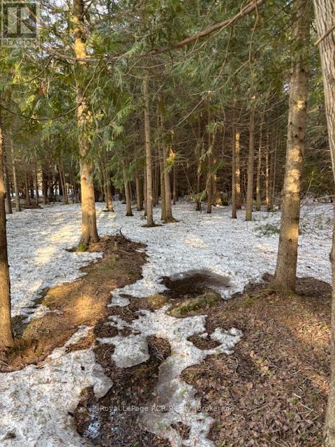 1 SOUTHGATE SRD 57 ROAD N