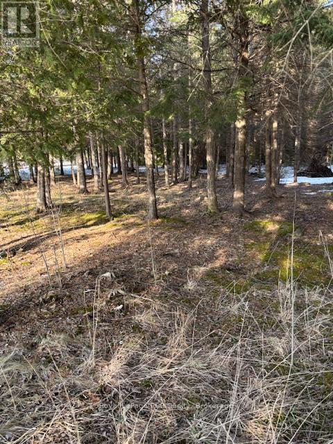 1 SOUTHGATE SRD 57 ROAD N