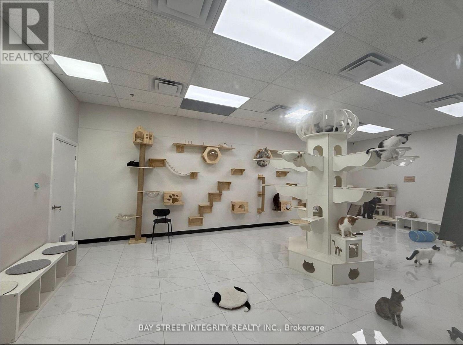 GROUND - 327 - 333 QUEEN STREET W