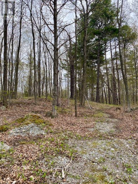 10914 COUNTY ROAD 38 ROAD