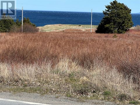 389 Conception Bay Highway Blackhead NF 