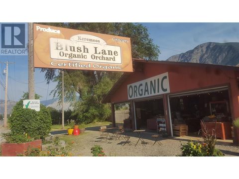 3105 HWY 3 Highway Keremeos BC V0H1N1